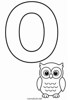 Літера O (буква) – Owl