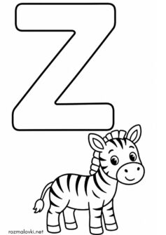 Літера Z (буква) – Zebra